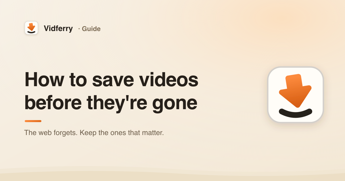 How to save videos before they're gone, on a warm Vidferry cover with the app's download-arrow icon.